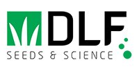 DLF