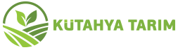 kutahyatarim