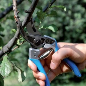 Shears C3